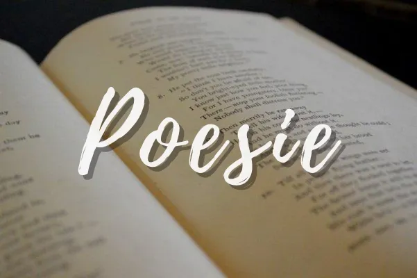 libro di poesie